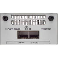 Модуль Cisco C9300-NM-2Y=